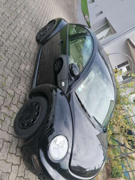 New beetle