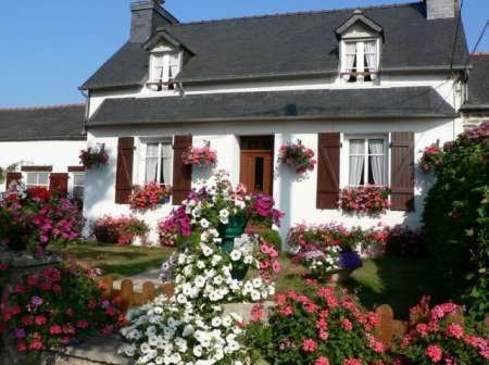 Le Grand Hortensia centre Finistère Pleyben