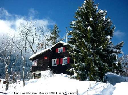 Alpes Valaisannes(CH)Chalet à Haute-Nendaz libre