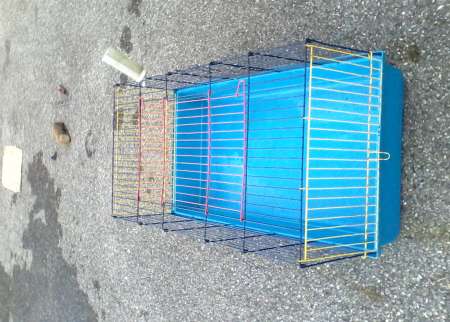 Cage pour lapins nains
