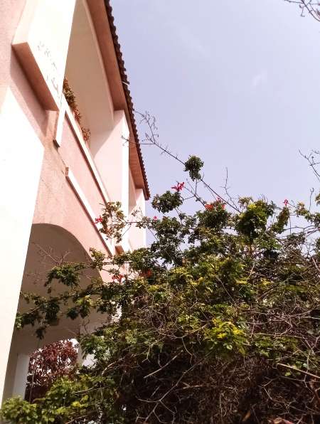 Villa à vendre à Nabeul