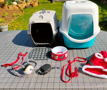 Kit pour chat