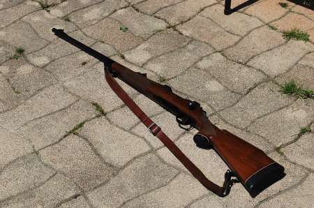 Carabine chasse