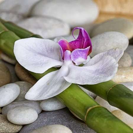 massage.