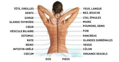 MASSAGE ET MUSICOTHERAPIE, LE BIEN ÊTRE A SAVOURER
