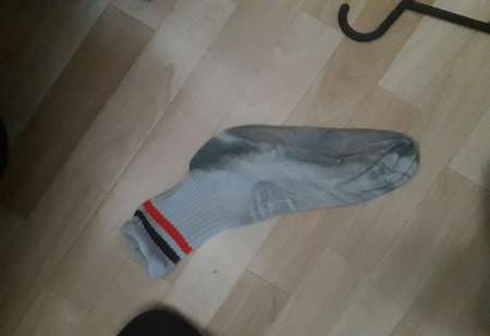 Vend cho7 ou boxer