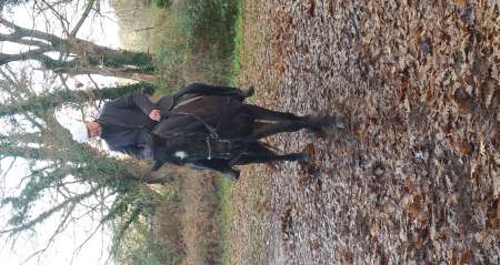 Equitation douce legere a domicile ou st medard