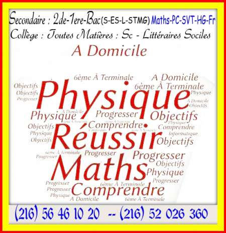 encadrement cours particuliers pesonnalisés a dom