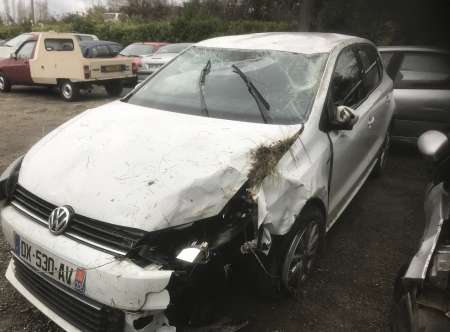 Polo accidenté