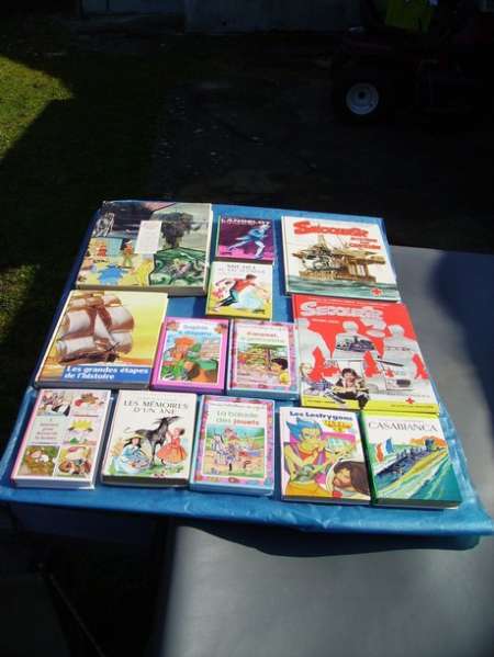 LOT DE 40 LIVRES POUR ADOLESCENTS au choix