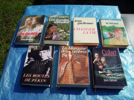 VOUS AIMEZ LIRE ... 15 LIVRES DE BIBLIOTHEQUE 