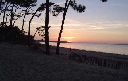 colocation dans villa bord de mer