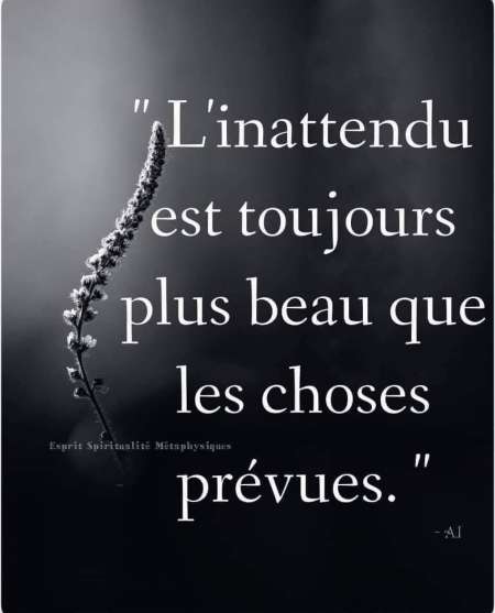 Curiosité
