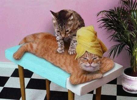 Massage a domicile