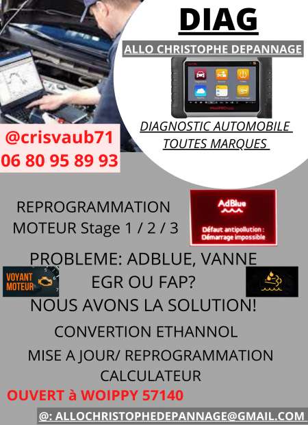 DIAG AUTO TOUTES MARQUE SOLUTION FAP EGR ADBLUE