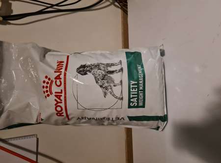 croquettes pour chien