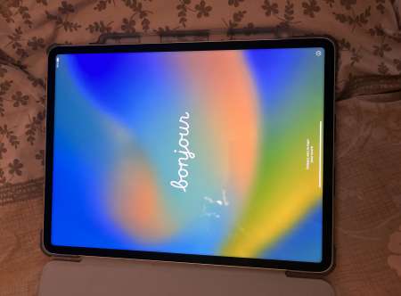 iPad Pro 12.9 puce M1 256GO année 2021
