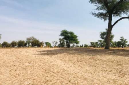 Terrain Agricole de 1,5 ha à Touba Toul