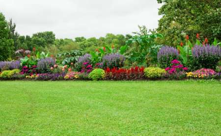 Jardinier passionné propose ses services.