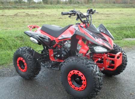 DESTOCKAGE quad 125 SPEEDY NEUF