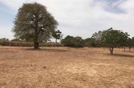 Verger agricole de 8049 m² vers Tassette