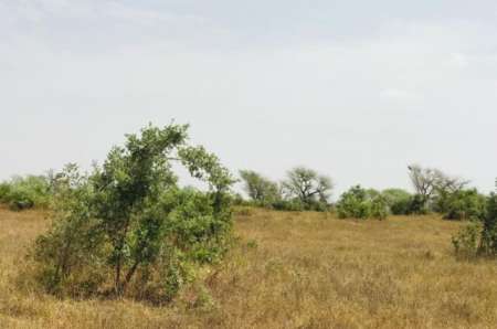 Terrain agricole de 2 ha vers Koul