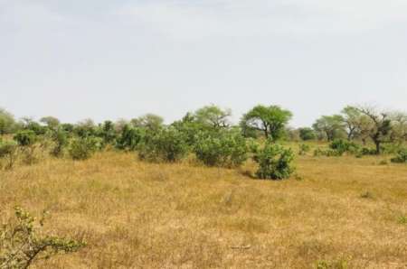Terrain agricole de 1 ha vers Koul