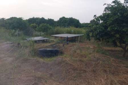 Verger agricole de 2 ha vers Keur Samba Kane