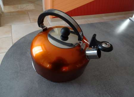 bouilloire inox