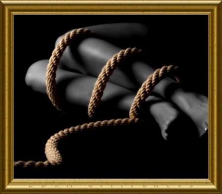 Pour Jeune Collaboratrice