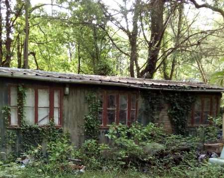 Terrain forestier de loisir