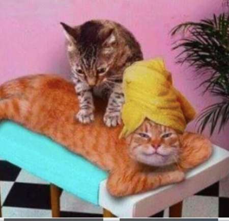 Massage intuitif sur table