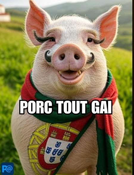 Recherche femme bi polyamoureuse