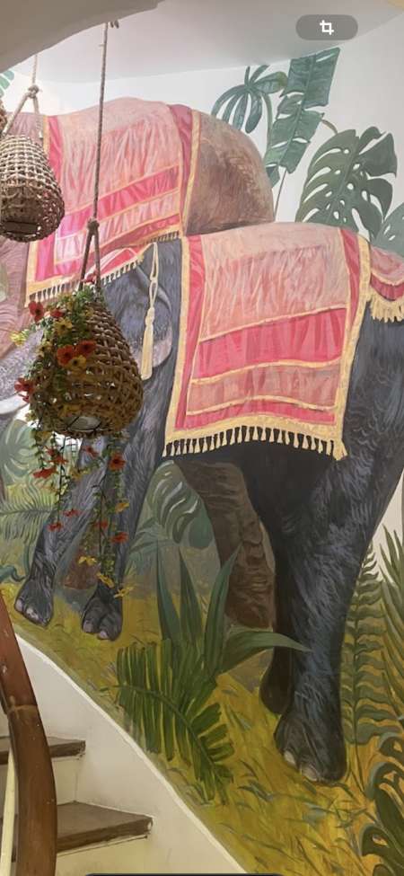 Cherche modèle pour massage Remu