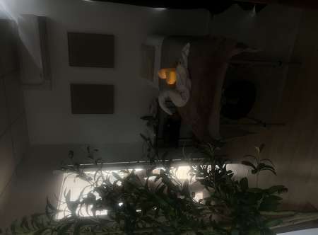 Massage professionnel