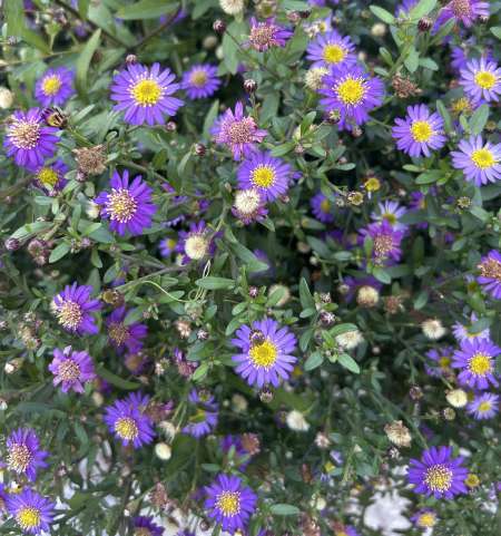 Madame, si vous souhaitez vous reprendre en main