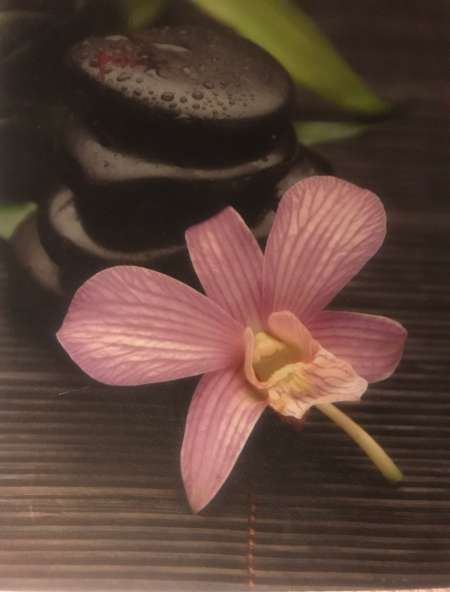 Centre bien etre cherche masseuse