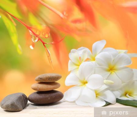Massage à domicile pour femmes