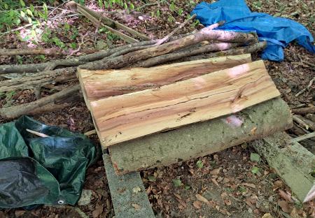 Bois chauffage hetre majoritaire