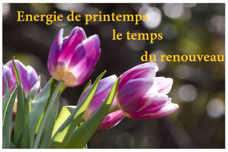 ALLEGRESSE, LA CLE DE VOTRE ENERGIE