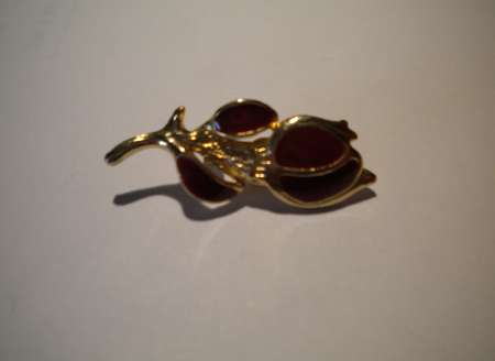 BROCHE	« Branche »