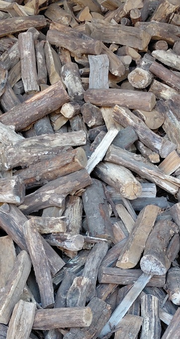 Bois de chauffage sec