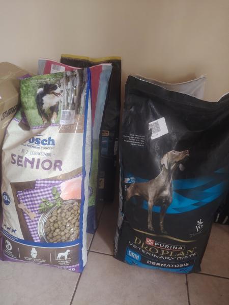 croquettes chien et chat