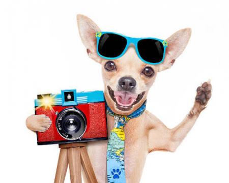 Recherche photographe professionnel ou amateur