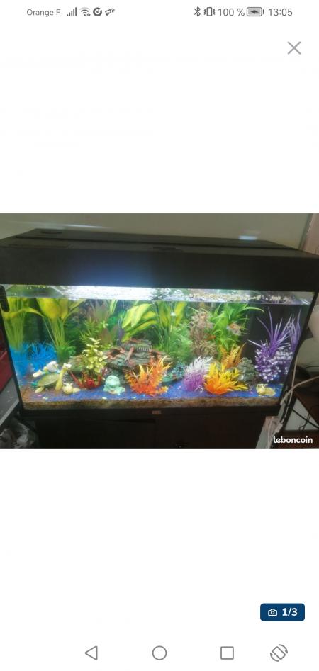 Aquarium et meubless