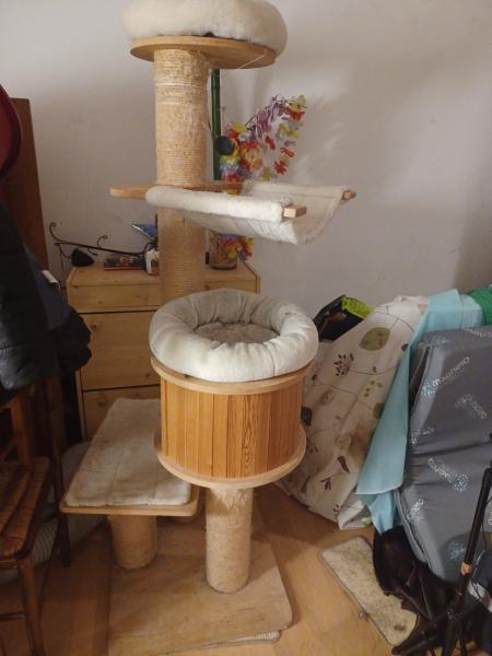 ARBRE A CHAT XXL POUR MAINE COON OU AUTRES