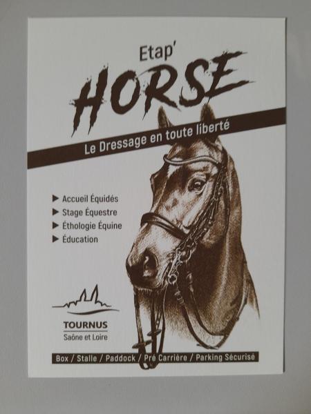 ETAP HORSE ACCUEIL CHEVAUX