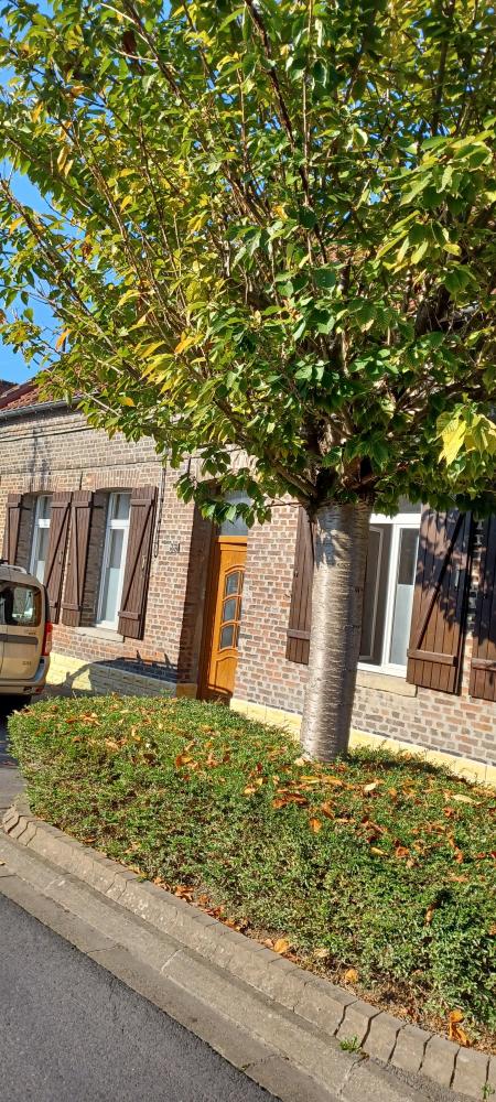 Coup de coeur pour cette maison de caractère