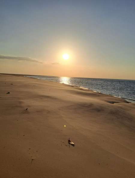 Lingerie femme sexy et accessoires divers sextoys