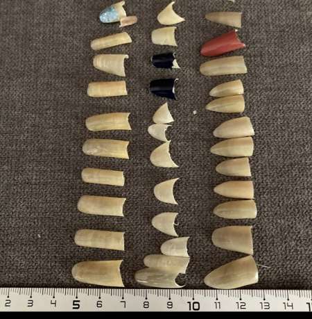 Achat ONGLES NATURELS